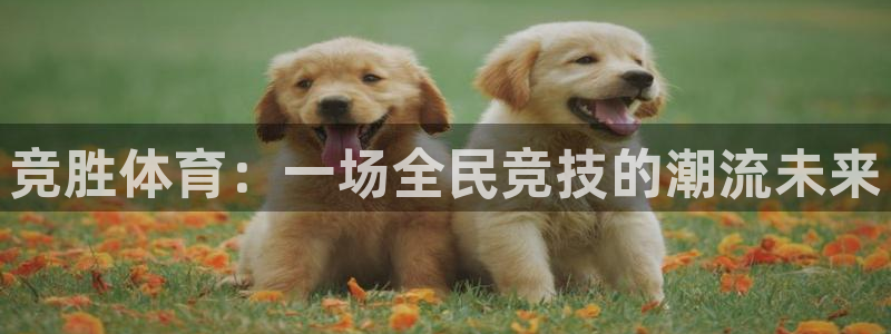 竞胜体育：一场全民竞技的潮流未来