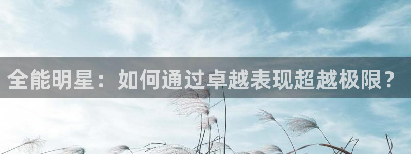 全能明星：如何通过卓越表现超越极限？