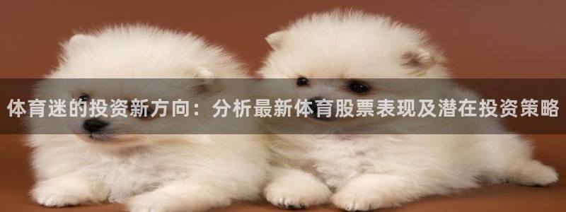 体育迷的投资新方向：分析最新体育股票表现及潜在投资策略