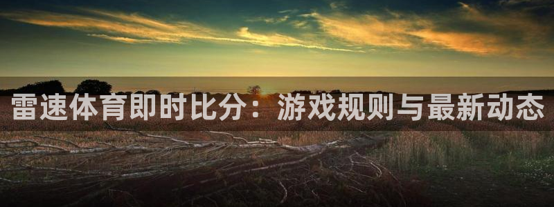 雷速体育即时比分：游戏规则与最新动态