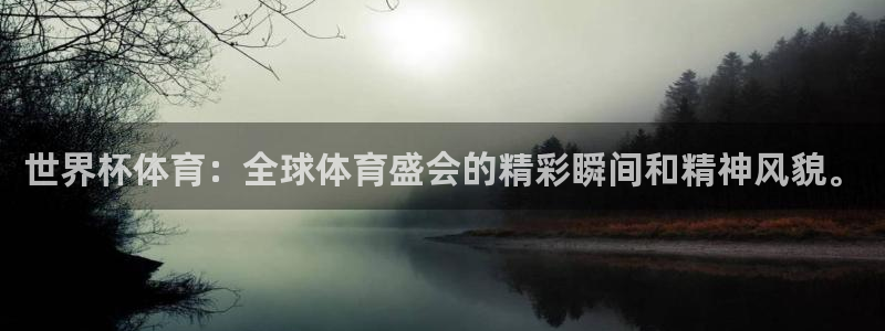 世界杯体育：全球体育盛会的精彩瞬间和精神风貌。