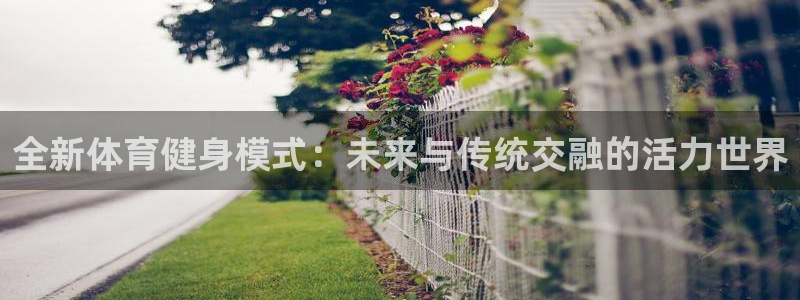 全新体育健身模式：未来与传统交融的活力世界