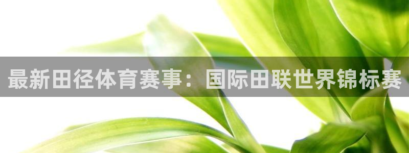 最新田径体育赛事：国际田联世界锦标赛