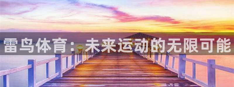 意昂5Kgame电子有限公司：雷鸟体育：未来运动的无限可能