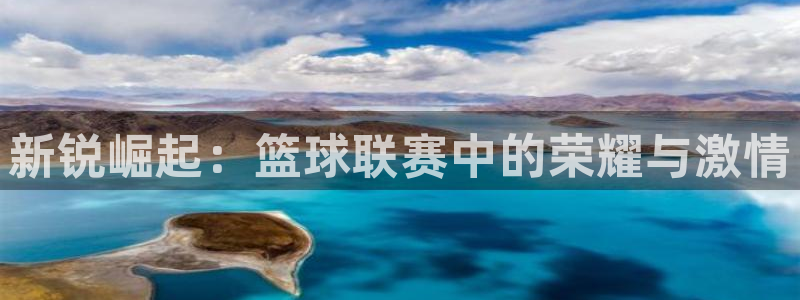 意昂5Kgame体育平台注册：新锐崛起：篮球联赛中的荣耀与激情