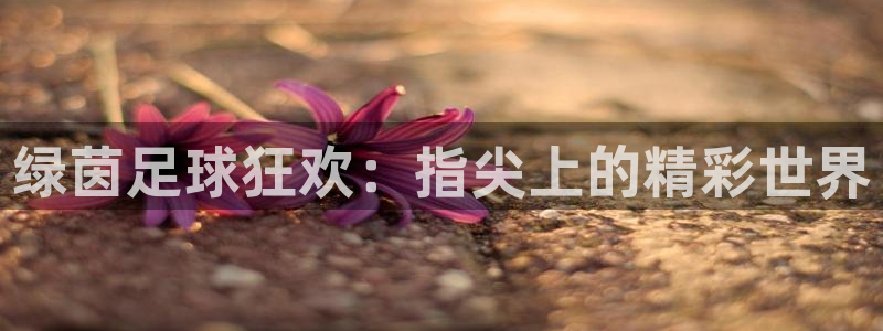 意昂5Kgame体育app下载：绿茵足球狂欢：指尖上的精彩世界