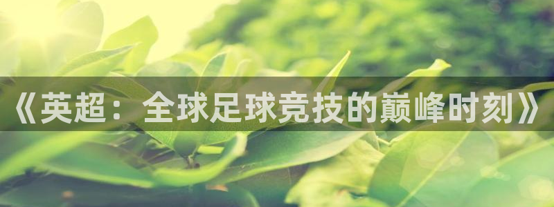 意昂5Kgame4注册：《英超：全球足球竞技的巅峰时刻》