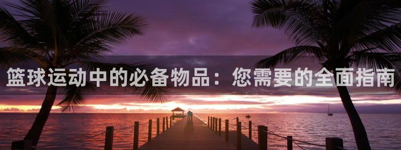 意昂5Kgame平台注册：篮球运动中的必备物品：您需要的全面指南
