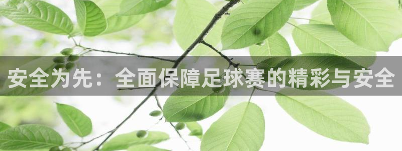 意昂5Kgame体育注册平台：安全为先：全面保障足球赛的精彩与安全