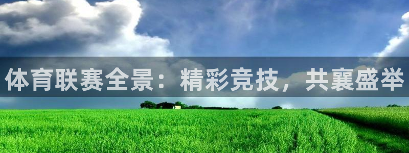 意昂5Kgame体育平台总代理：体育联赛全景：精彩竞技，共襄盛举